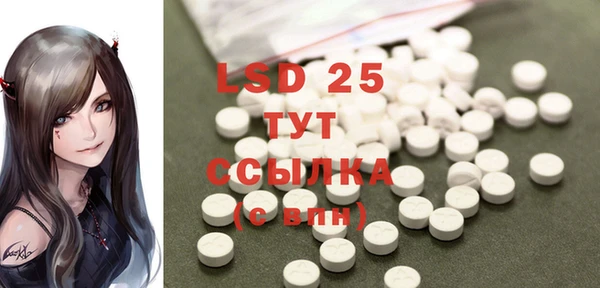 PSILOCYBIN Баксан