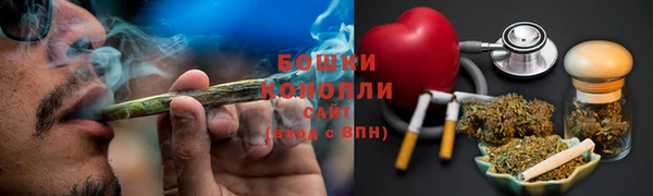 индика Белоозёрский
