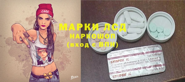 PSILOCYBIN Баксан