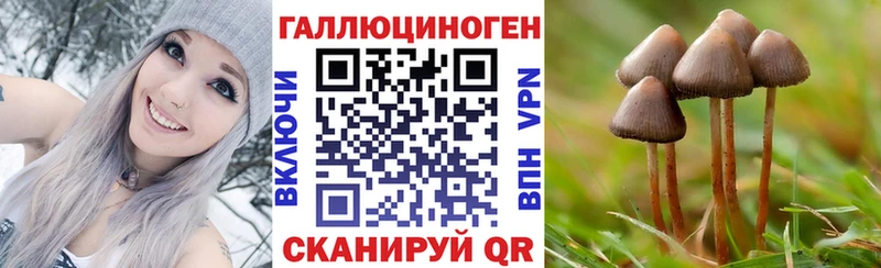 Псилоцибиновые грибы Cubensis  Балаково 